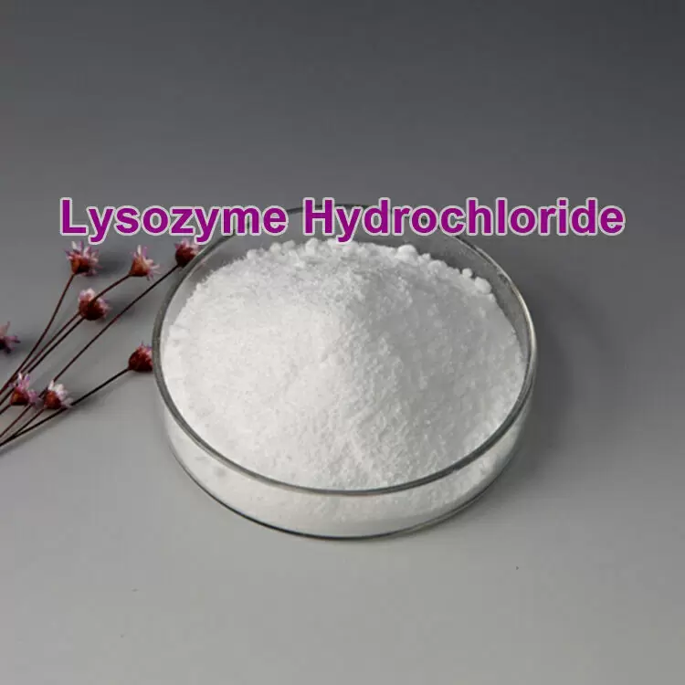 Lysozyme Hydrochloride