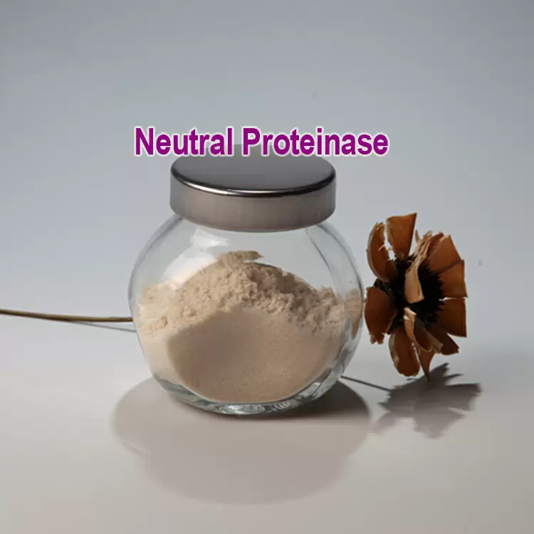 Neutral Proteinase