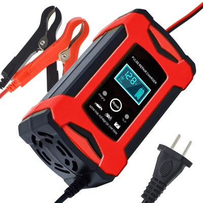 Pulse display 12v6A smart battery charger