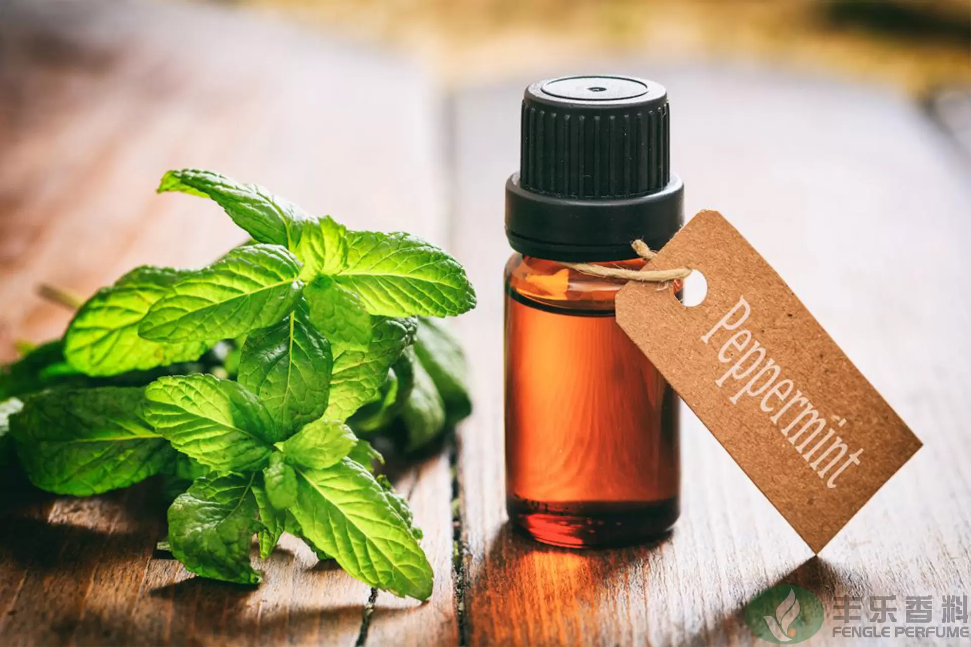 pure essential peppermint oil for sale - Fengle