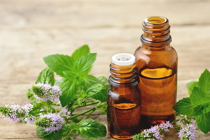 pure essential peppermint oil for sale - Fengle