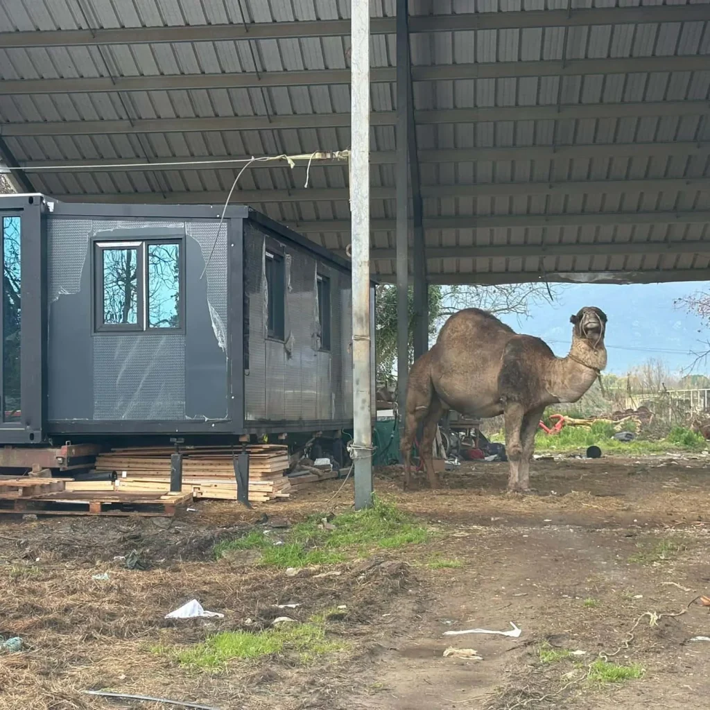 Expand House factory Guesthouse