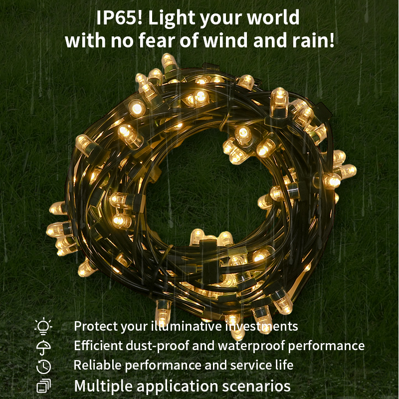 Integrated light string supplier
