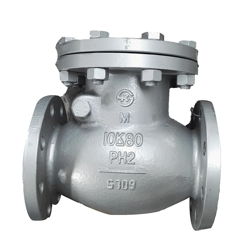 Cast Steel Swing Check Valve