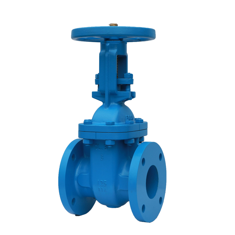 Cast Iron Rising Stem Gate Valve Wholesale