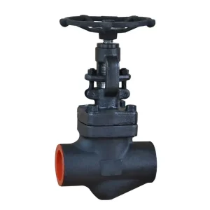 Forged steel Globe valve API602