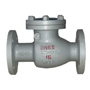 Cast steel swing check valve manufacturer