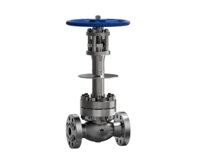 China forged steel cryogenic gate valve manufacturer