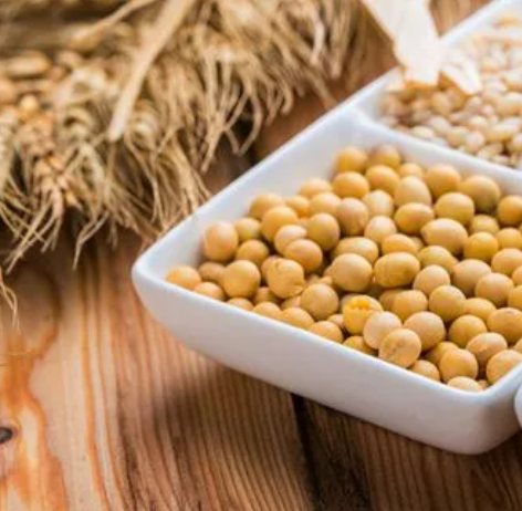 Where to buy healthy soy fiber