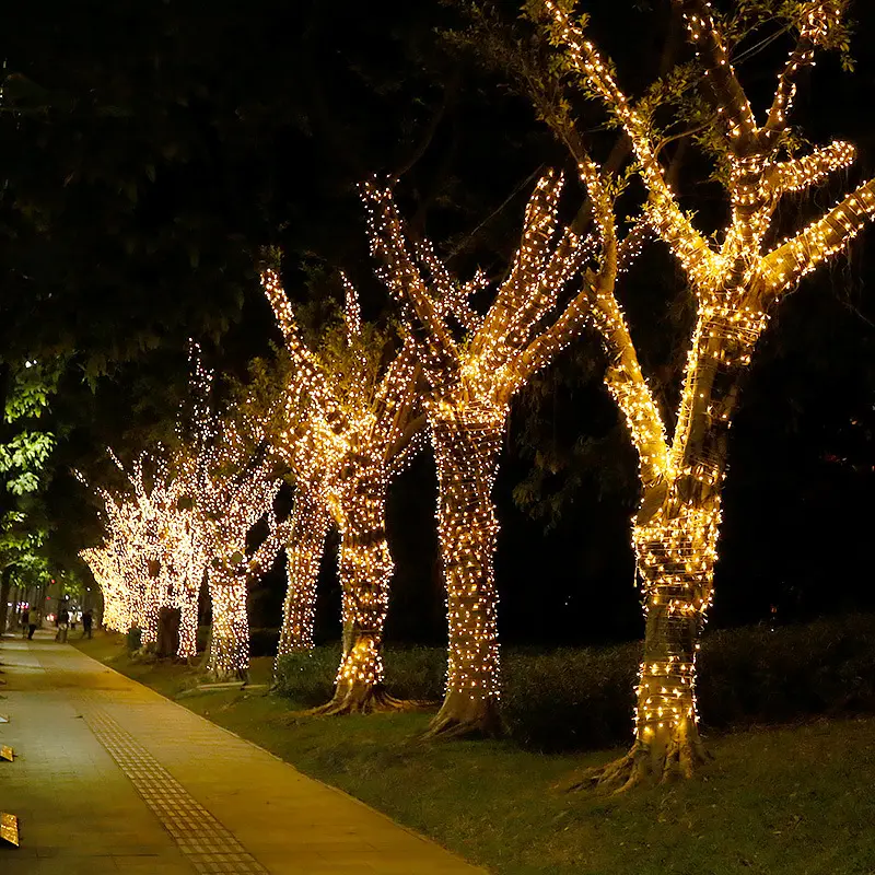 Stringa luminosa comune in pvc a 8 funzioni