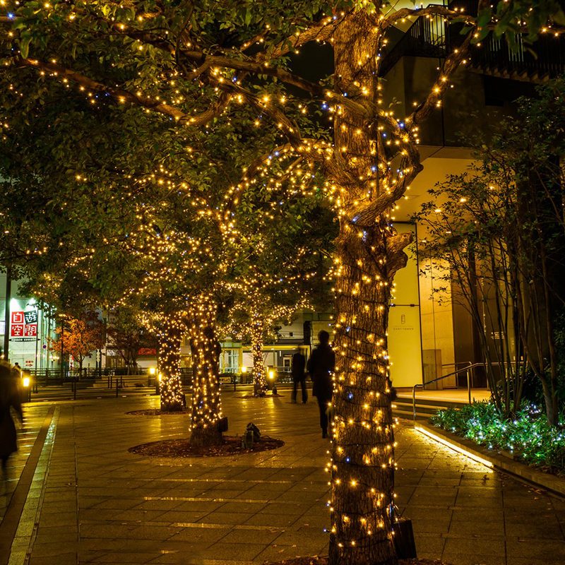 Iluminando paisajes nocturnos con guirnaldas de luces comerciales para exteriores