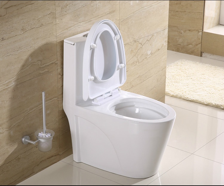 Can public toilets really spread disease? What is the safest way to use