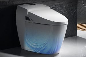 Olusha smart toilet How smart toilet use tips