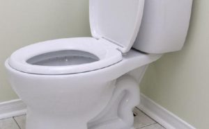 Tips for buying toilet seats What should we pay attention to when using toilet seats