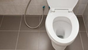 How to choose the brand of toilet how to clean the toilet