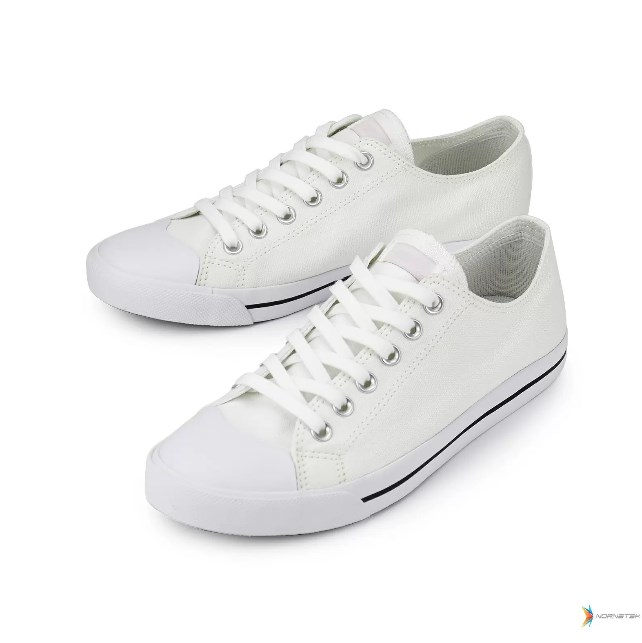 canvas casual shoes