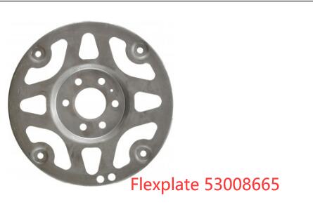 Flexplate 53008665