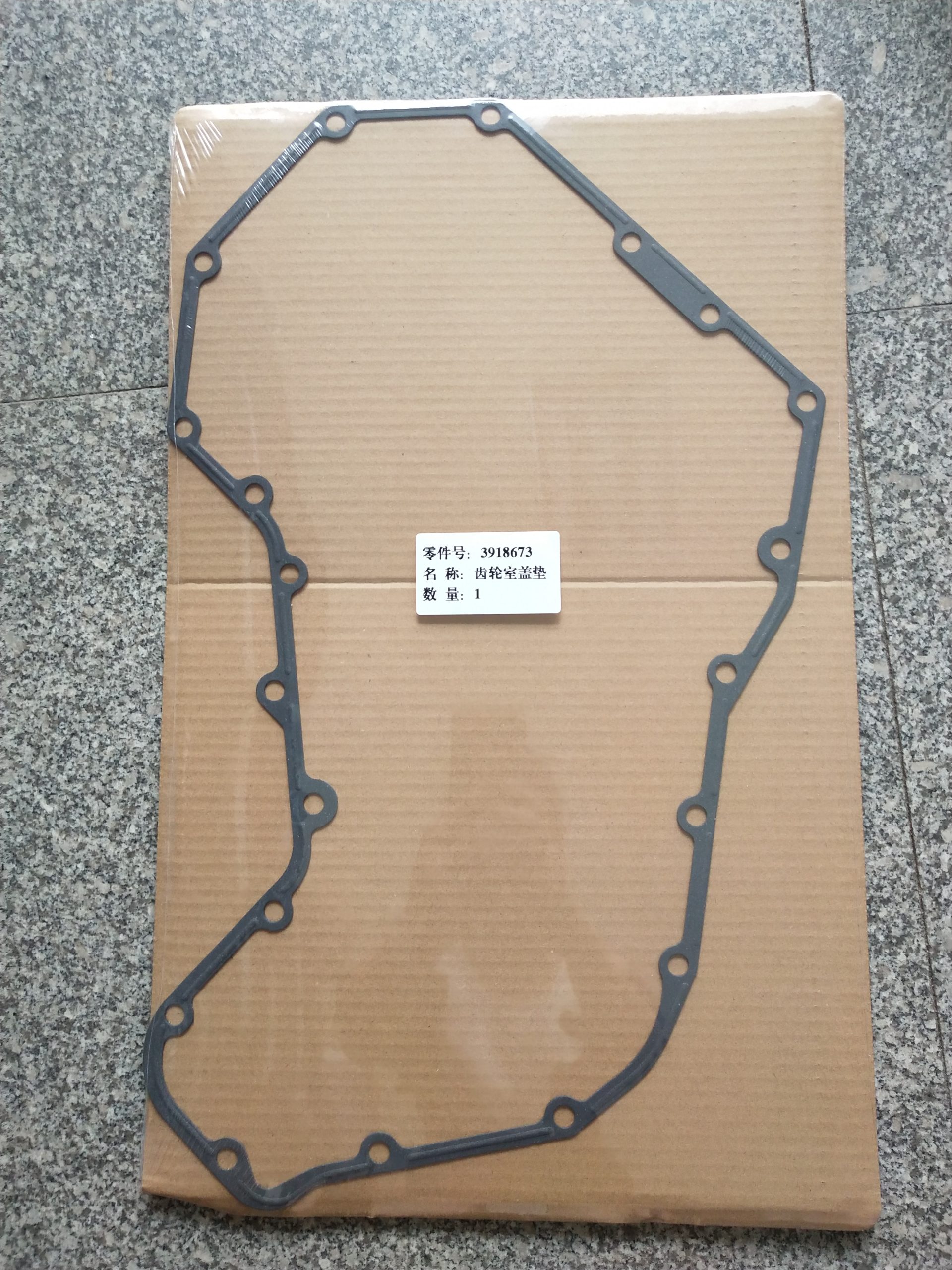 GASKET 3918673