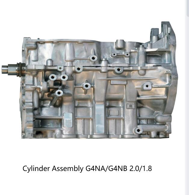 Cylinder Assembly G4NA/G4NB 2.0/1.8