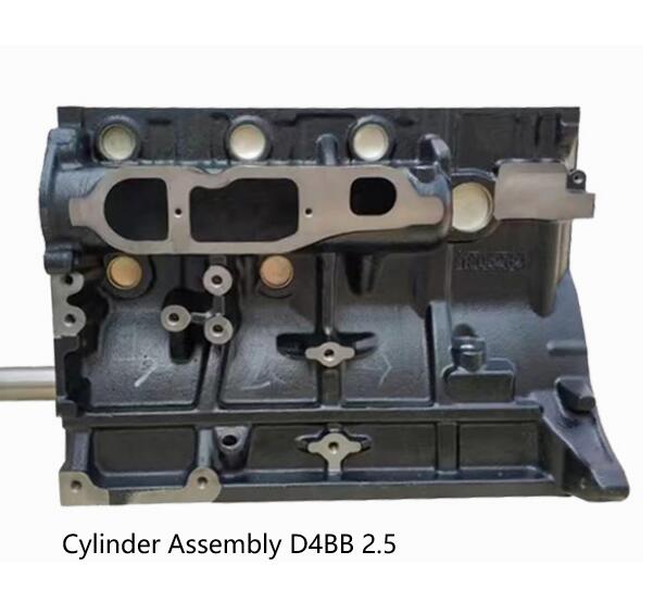 Cylinder Assembly D4BB 2.5