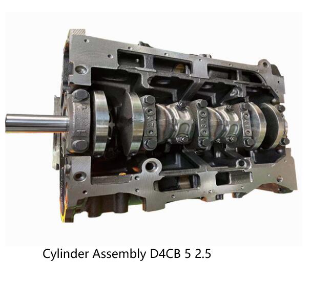 Cylinder Assembly D4CB 5 2.5