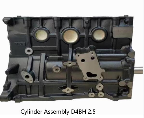 Cylinder Assembly D4BH 2.5