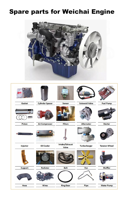 Spare parts for Weichai Engine