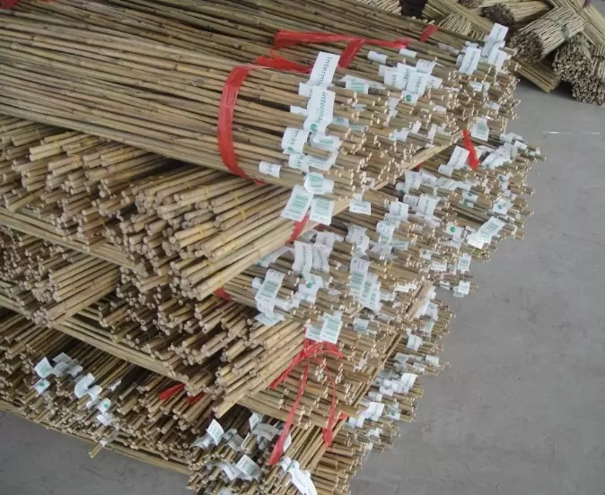 Natürliche Bambusstange