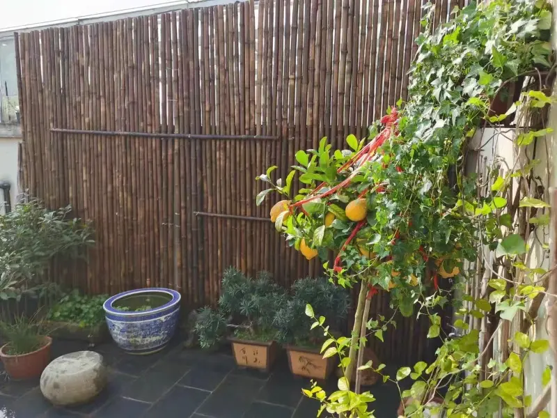 bamboo fence for sale