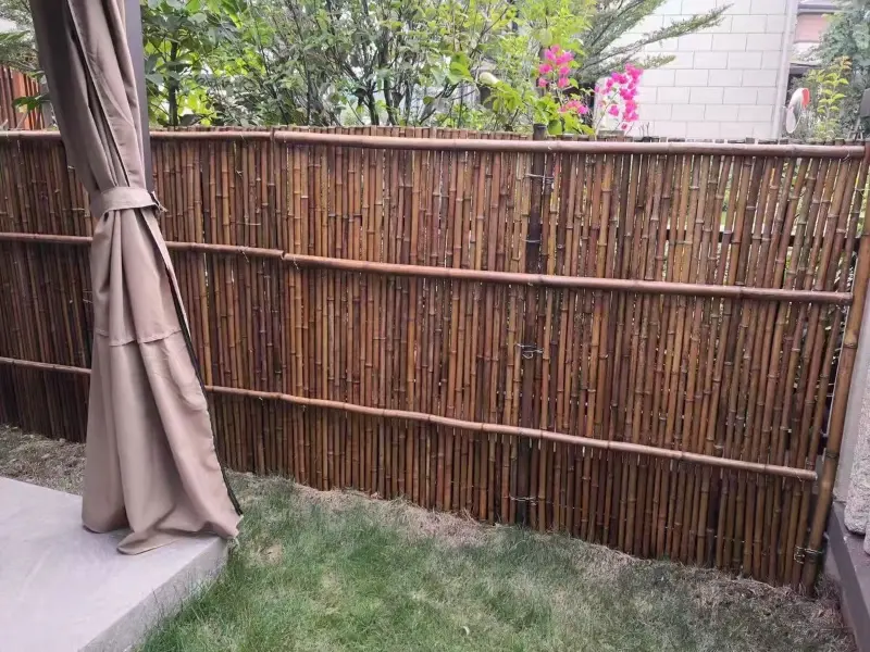 clôture en bambou
