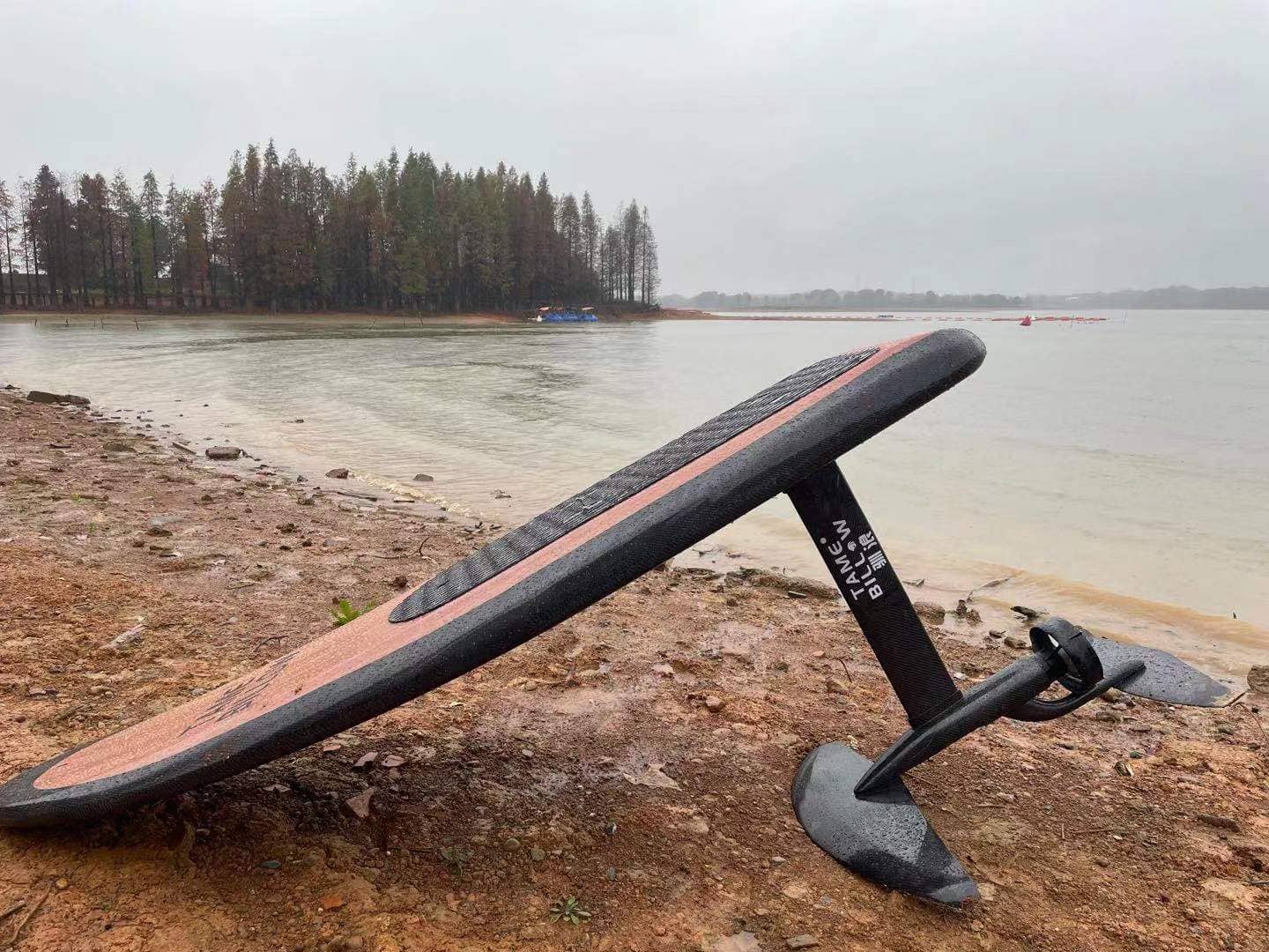 planche de surf à moteur